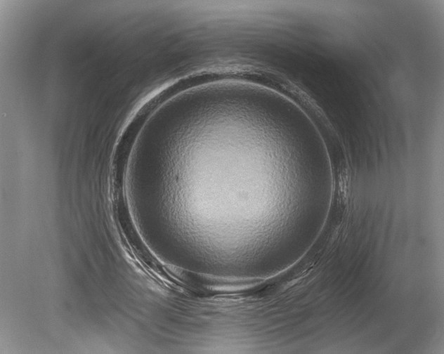 X0000080150724200612081321