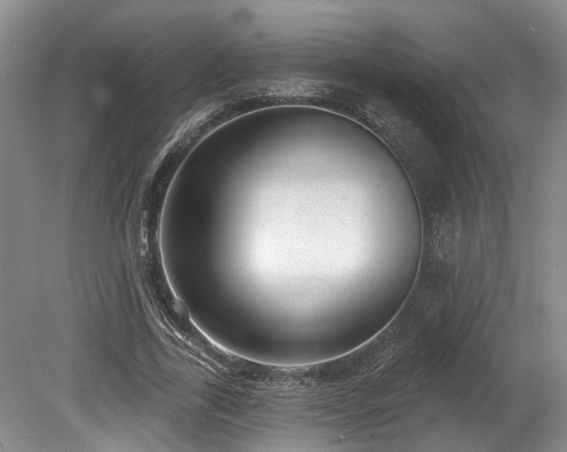 X0000080150731200612081321
