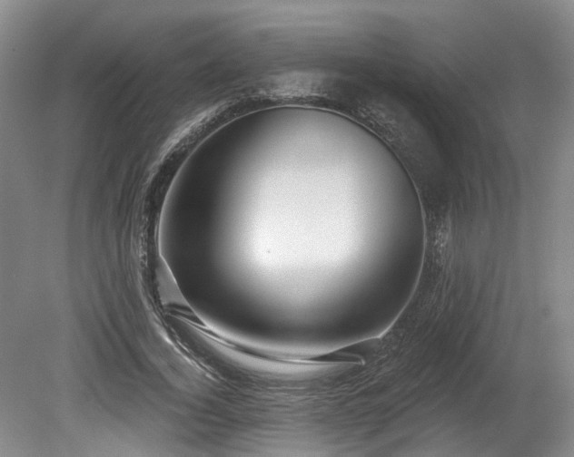 X0000080150732200612081321