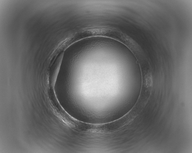 X0000080150733200612081321