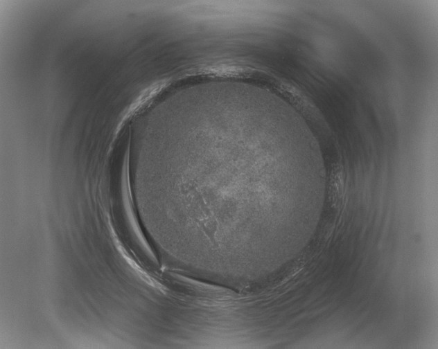X0000080150734200612081321