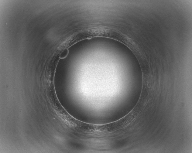 X0000080150737200612081321