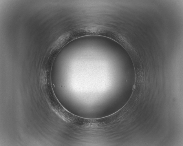 X0000080150738200612081321