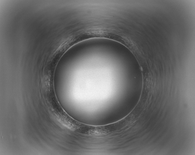 X0000080150739200612081321