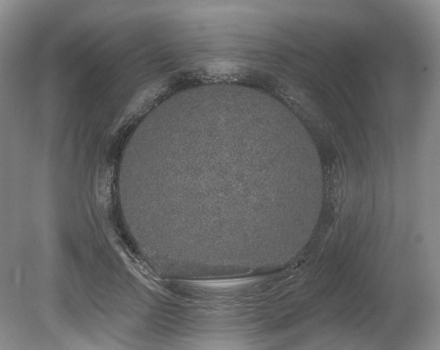 X0000080150742200612081321