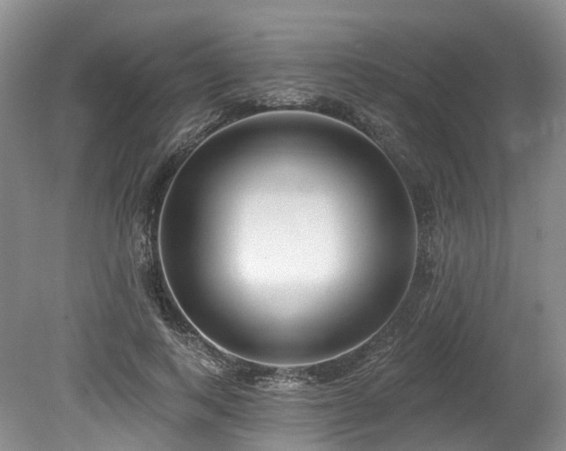 X0000080150743200612081321