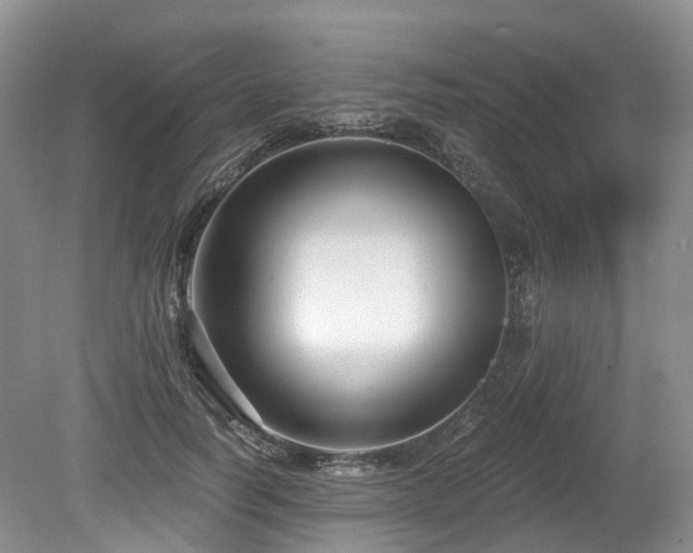 X0000080150746200612081321