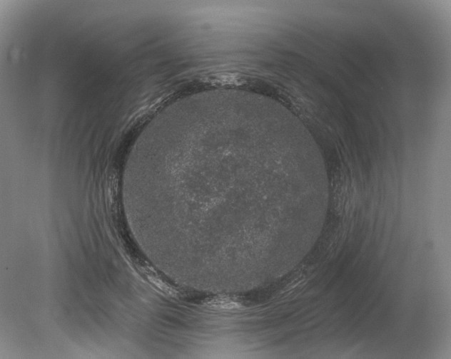 X0000080150747200612081321