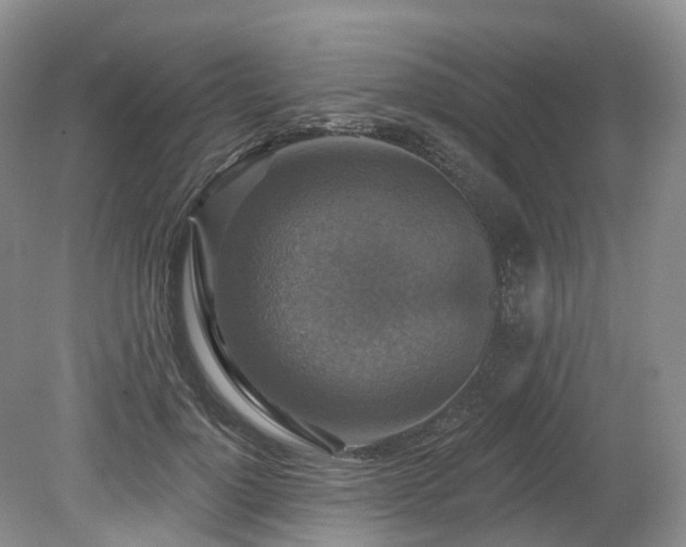 X0000080150748200612081321