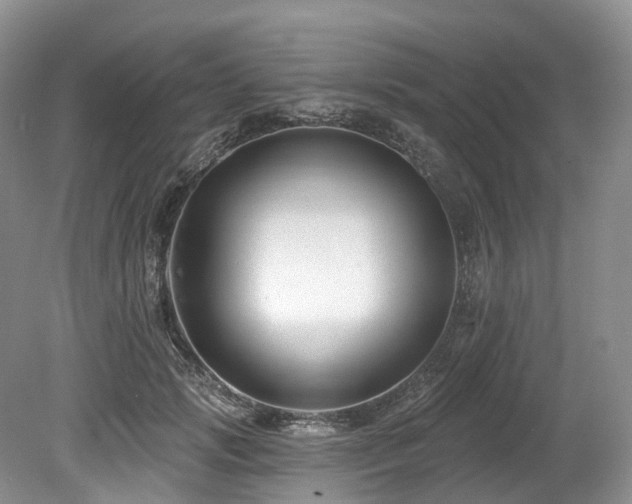 X0000080150749200612081321