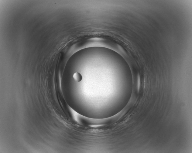 X0000080150750200612081321