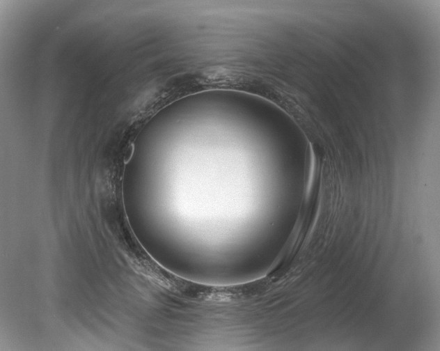 X0000080150751200612081321