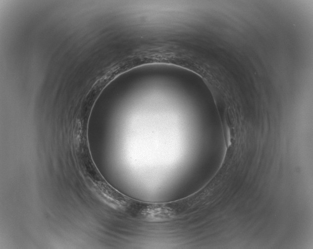 X0000080150752200612081321