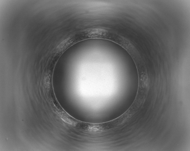 X0000080150753200612081321