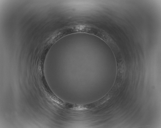X0000080150754200612081321