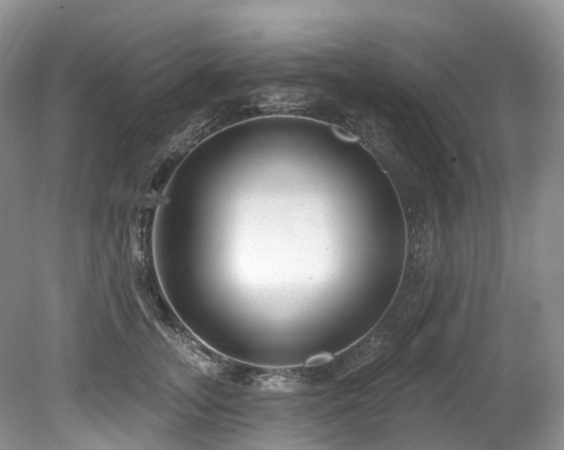 X0000080150755200612081321