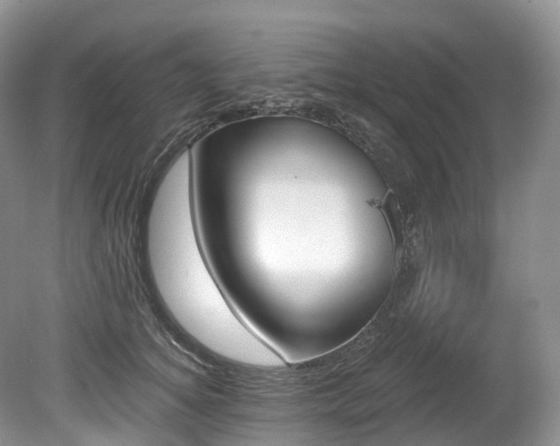 X0000080150756200612081321