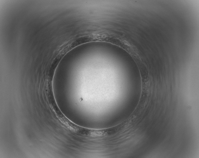 X0000080150757200612081321