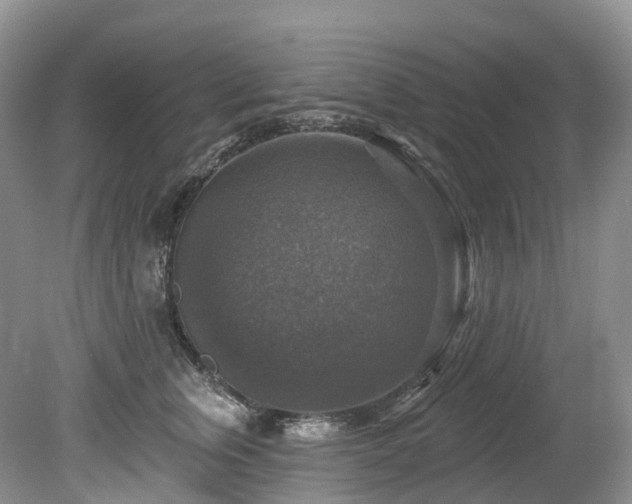 X0000080150759200612081321