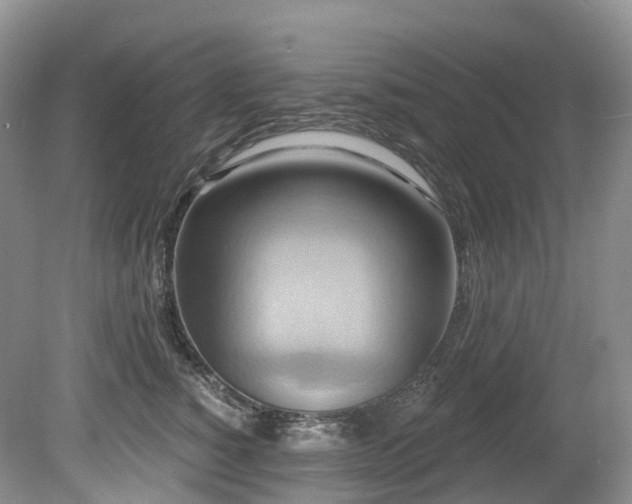 X0000080150760200612081321