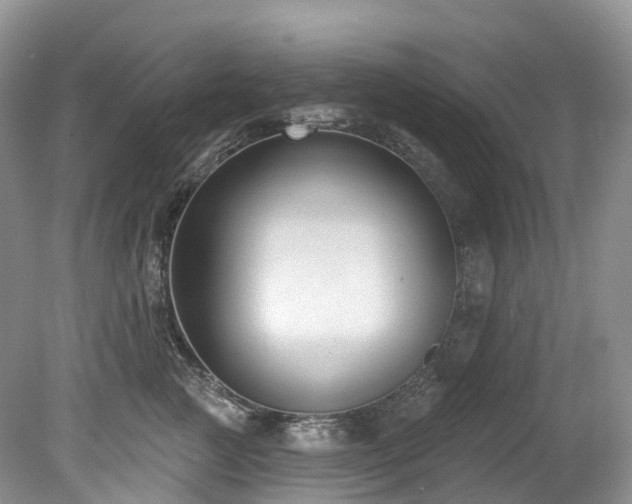 X0000080150761200612081321