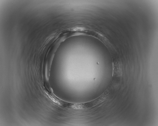 X0000080150762200612081321