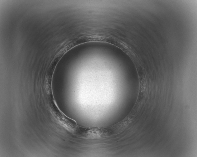 X0000080150764200612081321