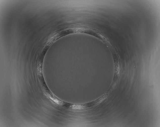 X0000080150766200612081321