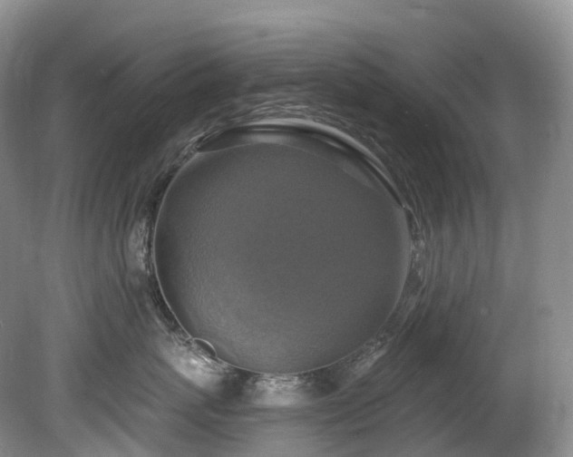 X0000080150767200612081322