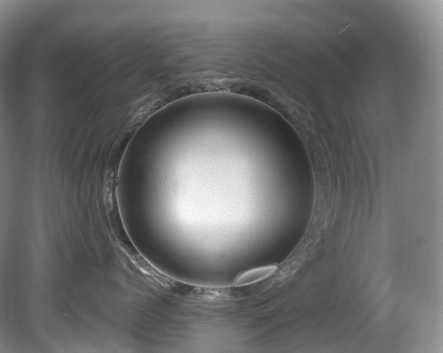 X0000080150768200612081322