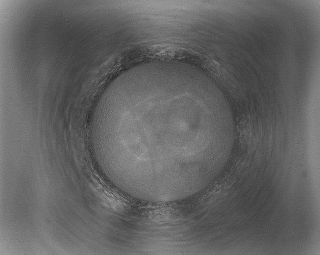X0000080150769200612081321