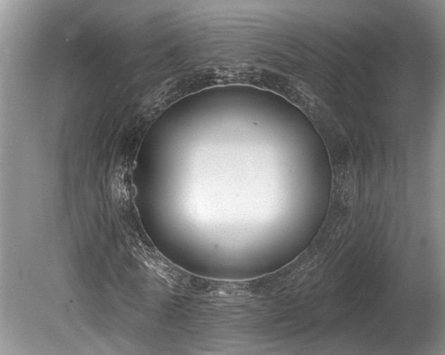 X0000080150770200612081321