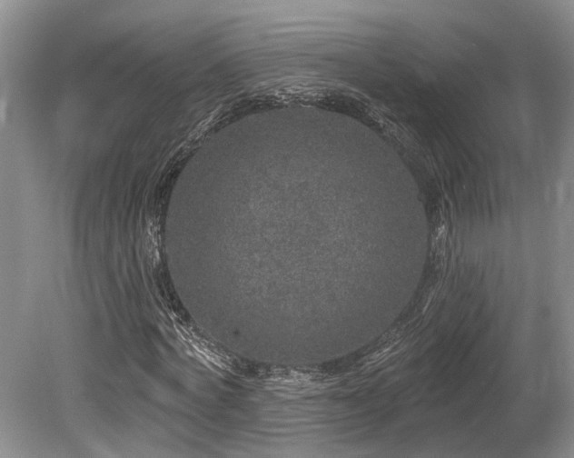 X0000080150772200612081321