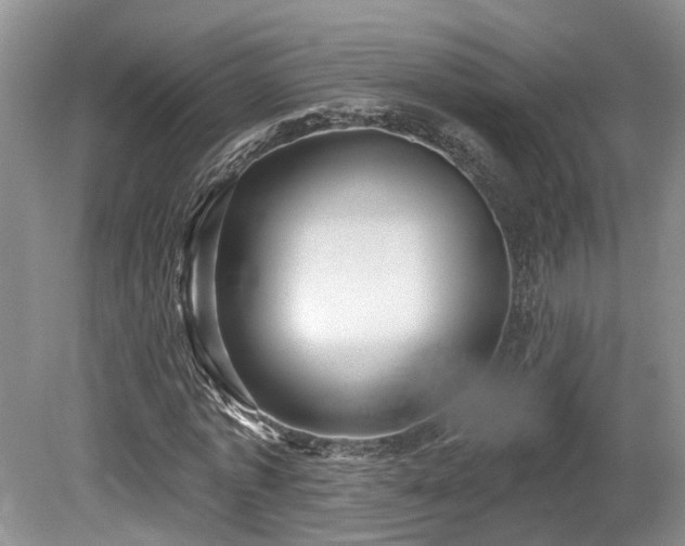 X0000080150773200612081321