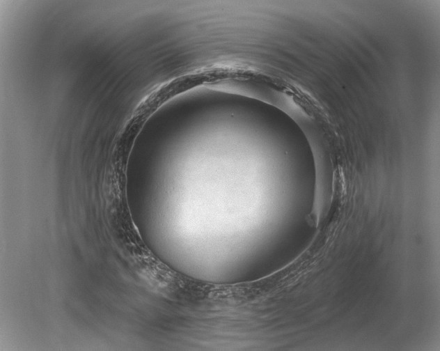 X0000080150776200612081321