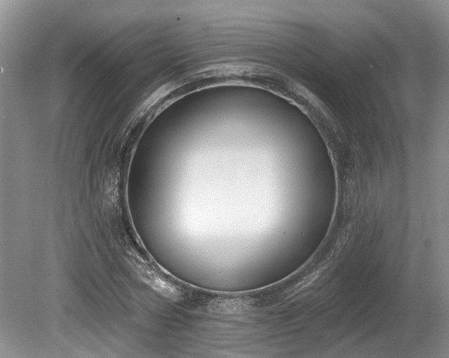 X0000080150778200612081321