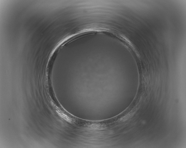 X0000080150779200612081321