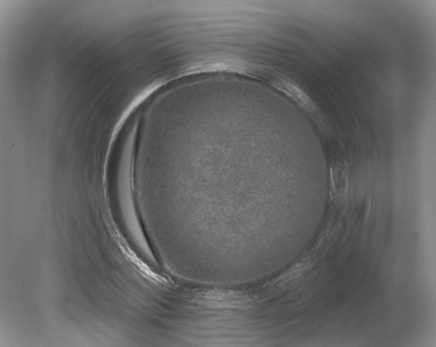 X0000080150780200612081321