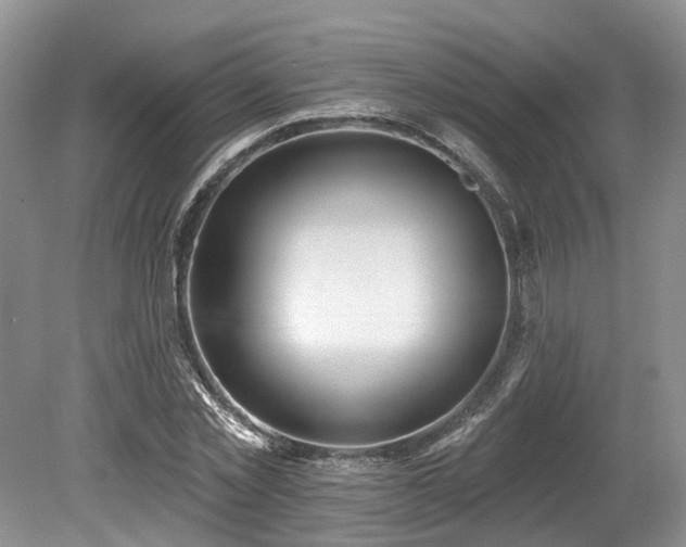 X0000080150781200612081321