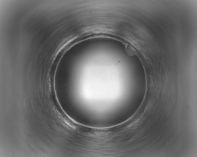 X0000080150782200612081320