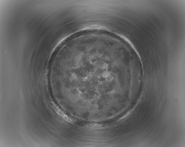 X0000080150783200612081320
