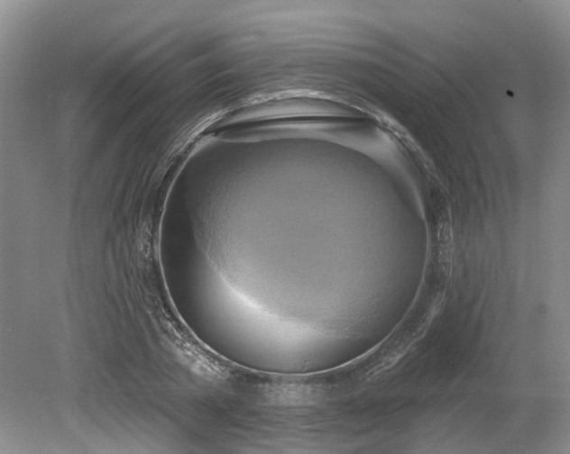 X0000080150785200612081320