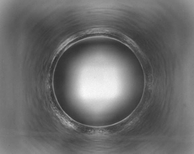 X0000080150786200612081320