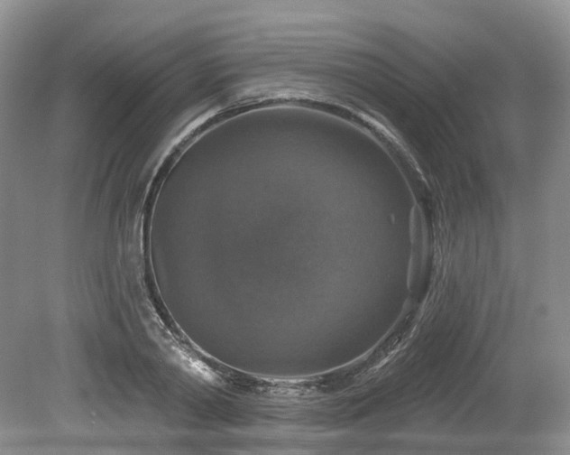 X0000080150790200612081320
