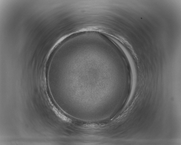 X0000080150792200612081320