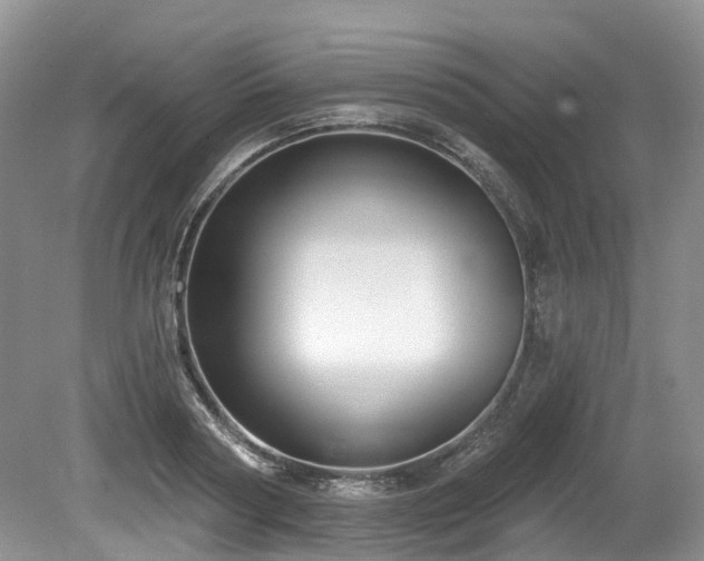 X0000080150794200612081320