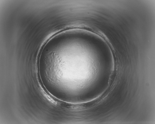 X0000080150795200612081320
