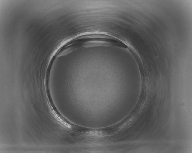 X0000080150797200612081320