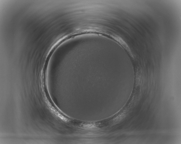 X0000080150798200612081320