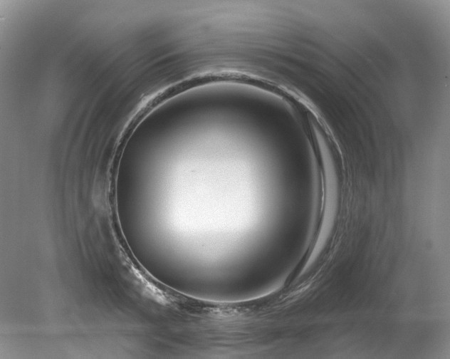 X0000080150799200612081320